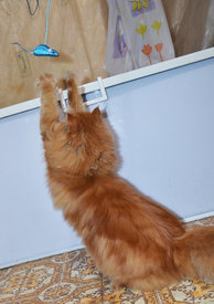 DSC_0658.jpg (706.7 КБ, Просмотров: 3508) DSC_0658.jpg