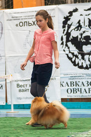 DSC_9892.jpg (638.01 КБ, Просмотров: 1965) DSC_9892.jpg