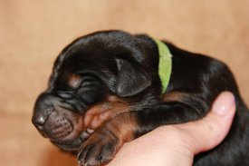 3.jpg (43.87 КБ, Просмотров: 2288) 3.jpg