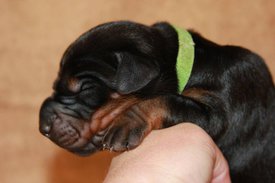 4.jpg (44.62 КБ, Просмотров: 2280) 4.jpg