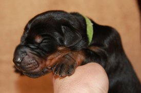 5.jpg (41.86 КБ, Просмотров: 2288) 5.jpg