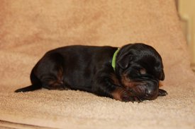 6.jpg (44.91 КБ, Просмотров: 2492) 6.jpg