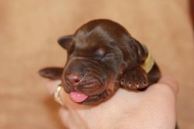 2.jpg (32.25 КБ, Просмотров: 2288) 2.jpg