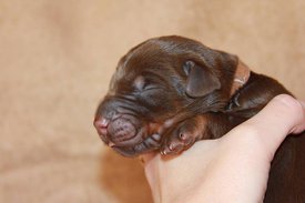 3.jpg (42.74 КБ, Просмотров: 2280) 3.jpg