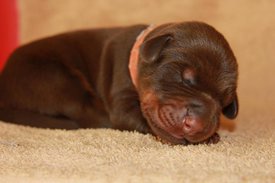 2.jpg (47.17 КБ, Просмотров: 2288) 2.jpg