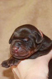 6.jpg (49.98 КБ, Просмотров: 2288) 6.jpg