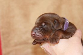 2.jpg (38.59 КБ, Просмотров: 2281) 2.jpg