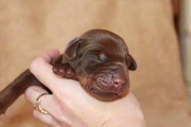 5.jpg (35.89 КБ, Просмотров: 2500) 5.jpg