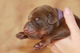 6.jpg (46.51 КБ, Просмотров: 2280) 6.jpg