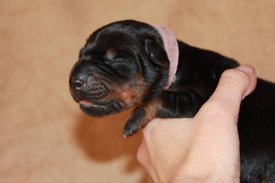 6.jpg (37.25 КБ, Просмотров: 2492) 6.jpg