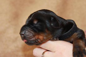 6.jpg (37.52 КБ, Просмотров: 2280) 6.jpg