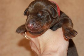 2.jpg (41.96 КБ, Просмотров: 2500) 2.jpg