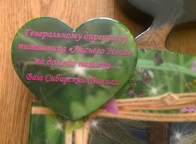 1.jpg (367.1 КБ, Просмотров: 136846) 1.jpg