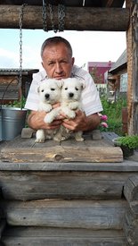 20170621_185034.jpg (74.64 КБ, Просмотров: 2076) 20170621_185034.jpg