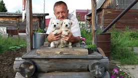 20170621_185050.jpg (68.13 КБ, Просмотров: 2079) 20170621_185050.jpg