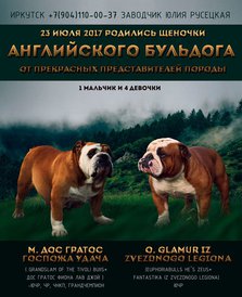 20264788_1524292040947381_7929423485737567522_n.jpg (116.37 КБ, Просмотров: 1513) 20264788_1524292040947381_7929423485737567522_n.jpg