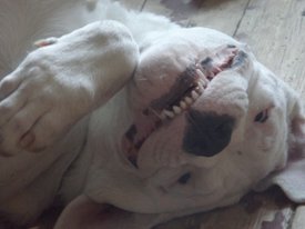 eEXsSH8wAqk.jpg (61.28 КБ, Просмотров: 7475) eEXsSH8wAqk.jpg