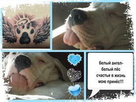 Vc3J1pT49bM.jpg (166.62 КБ, Просмотров: 7915) Vc3J1pT49bM.jpg