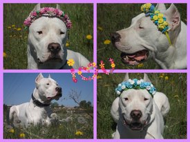 9BaR9WHe8qY.jpg (180.07 КБ, Просмотров: 7450) 9BaR9WHe8qY.jpg