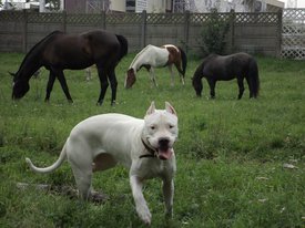 s9DPEs3_8sM.jpg (304.7 КБ, Просмотров: 7449) s9DPEs3_8sM.jpg