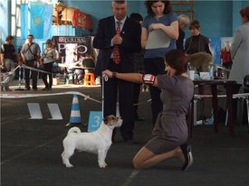 07d7f1c448b9.jpg (60.14 КБ, Просмотров: 2068) 07d7f1c448b9.jpg