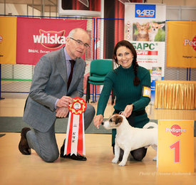 IMG_3617а.jpg (391.08 КБ, Просмотров: 2146) IMG_3617а.jpg