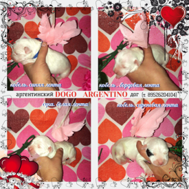 723339_0_p800.png (595.69 КБ, Просмотров: 7394) 723339_0_p800.png