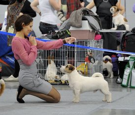 47-1.jpg (87.04 КБ, Просмотров: 2146) 47-1.jpg