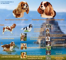 родословная.jpg (121.19 КБ, Просмотров: 6528) родословная.jpg