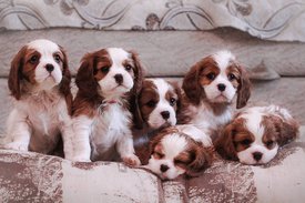 фото 1.jpg (84.13 КБ, Просмотров: 6523) фото 1.jpg