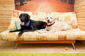 tXwVyF9ekGw.jpg (262.03 КБ, Просмотров: 4218) tXwVyF9ekGw.jpg