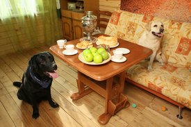 IqwYtNixO8M.jpg (241.96 КБ, Просмотров: 4218) IqwYtNixO8M.jpg