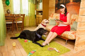 qF0lcKnxQf8.jpg (272.8 КБ, Просмотров: 4218) qF0lcKnxQf8.jpg