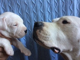 d3KSCblzqig — копия.jpg (174.64 КБ, Просмотров: 7201) d3KSCblzqig — копия.jpg