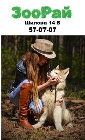 VxbZdFcEKJw.jpg (63.69 КБ, Просмотров: 13056) VxbZdFcEKJw.jpg