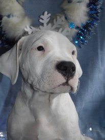 4MO78ijXpCc.jpg (114.74 КБ, Просмотров: 1520) 4MO78ijXpCc.jpg