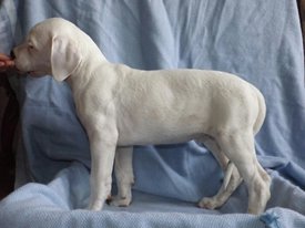 ZLStzml7o58.jpg (175.83 КБ, Просмотров: 1520) ZLStzml7o58.jpg