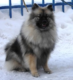 DSCBARA_1.jpg (151.38 КБ, Просмотров: 1585) DSCBARA_1.jpg