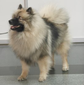 DSCN0835_1.jpg (127.68 КБ, Просмотров: 1585) DSCN0835_1.jpg