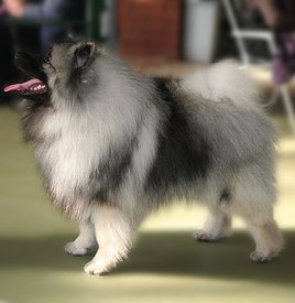 3ORTvxr_Rd_1.jpg (61.56 КБ, Просмотров: 1587) 3ORTvxr_Rd_1.jpg