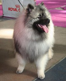 eSLfeoFmfoQ_Rd.jpg (61.68 КБ, Просмотров: 1585) eSLfeoFmfoQ_Rd.jpg