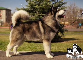 465_01.jpg (121.19 КБ, Просмотров: 1584) 465_01.jpg