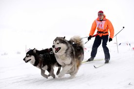 ALX_1500.jpg (75.55 КБ, Просмотров: 1580) ALX_1500.jpg