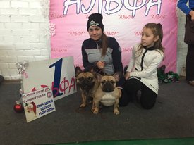 IMG-8e1594c6dacfb53890f5c5fc0e7fb6db-V.jpg (241.44 КБ, Просмотров: 2004) IMG-8e1594c6dacfb53890f5c5fc0e7fb6db-V.jpg