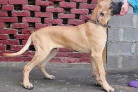 IMG_15921.jpg (208.25 КБ, Просмотров: 1795) IMG_15921.jpg