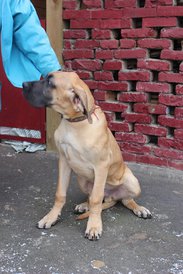 IMG_16131.jpg (202.17 КБ, Просмотров: 1955) IMG_16131.jpg