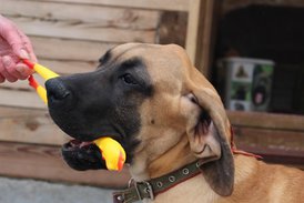 IMG_16241.jpg (124.52 КБ, Просмотров: 1795) IMG_16241.jpg