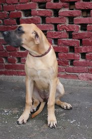 IMG_15651.jpg (112.21 КБ, Просмотров: 1946) IMG_15651.jpg