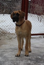 IMG_15741.jpg (156.9 КБ, Просмотров: 1946) IMG_15741.jpg