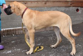 IMG_154111.jpg (162.82 КБ, Просмотров: 1953) IMG_154111.jpg